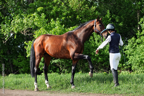Outdoor portrait of young beautiful sports woman with horse