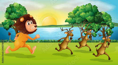 Lion and deers running in the park © GraphicsRF