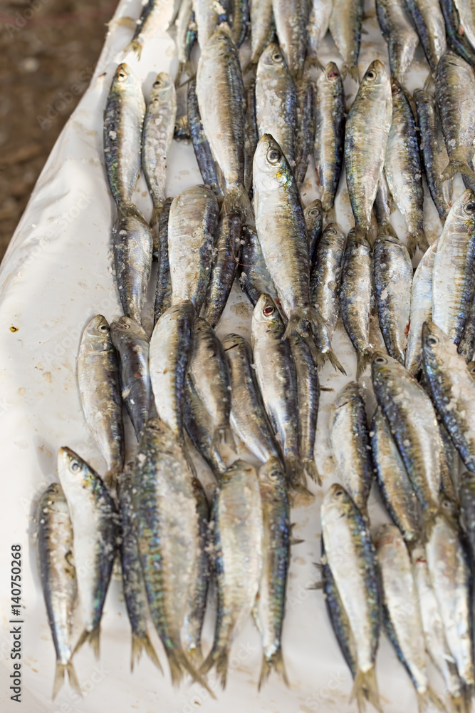 Obraz premium Sardines on fishing market
