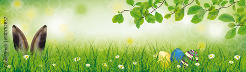 Spring Hare Easter Eggs Grass Beech Twigs Header