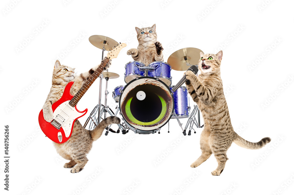 Naklejka premium Band musicians cats, isolated on white background