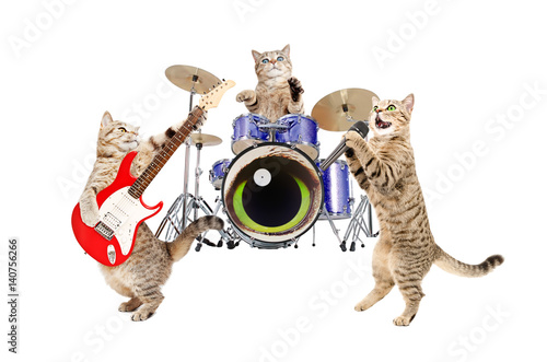 Band musicians cats, isolated on white background