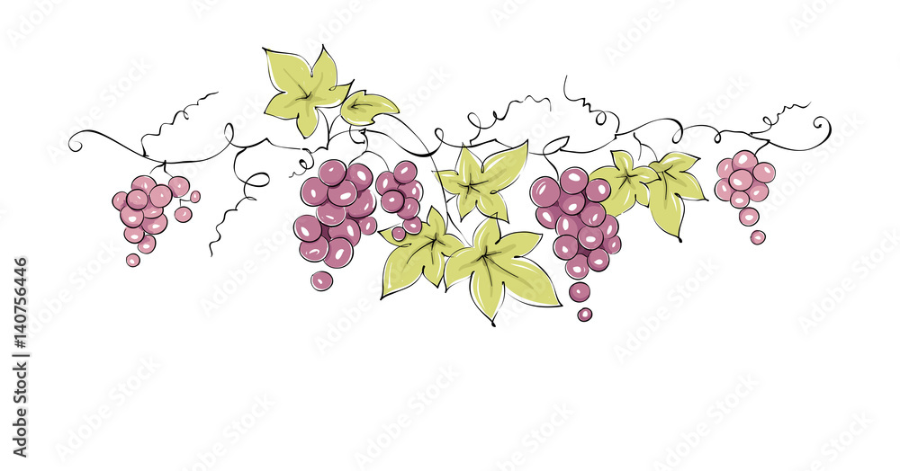 Bunch Of Grapes Simple Drawing With Leaf Swirly Vine High-Res Vector  Graphic - Getty Images