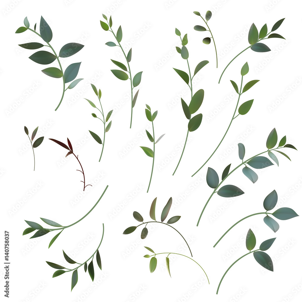 Fototapeta 728693 Set of vector mesh small branches for floral design