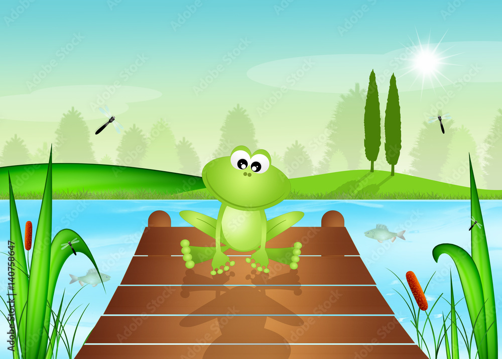 Obraz premium funny frog in the pond