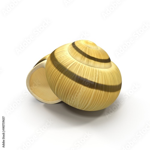 Snail Shell on white. 3D illustration