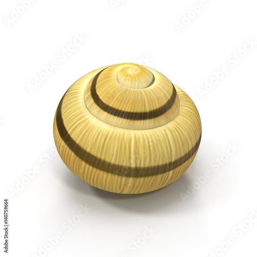Snail Shell on white. 3D illustration