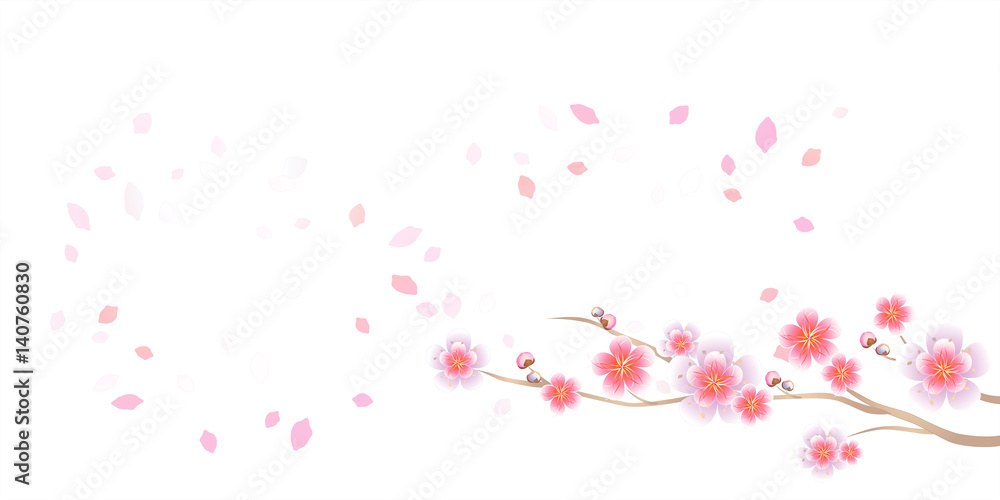 Branch of Sakura and petals flying isolated on White background. Apple-tree flowers. Cherry blossom. Vector 