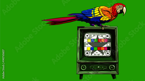 Big colorful parrot sitting on the old fashioned radiola TV set Deep image like in Matrix with no signal background. Hand drawn sketch. 