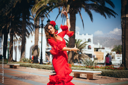 Flamenco Dancer in Spain