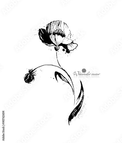 Fototapeta Naklejka Na Ścianę i Meble -  black and white watercolor flower on white background