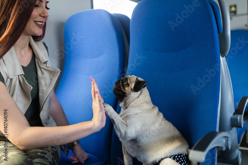 Beautiful young woman sitting in train with her pug and giving five.