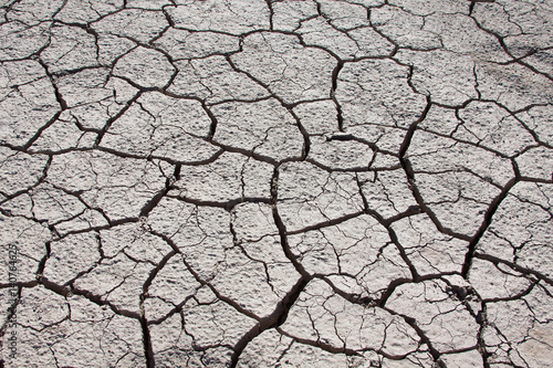 Cracked dry ground