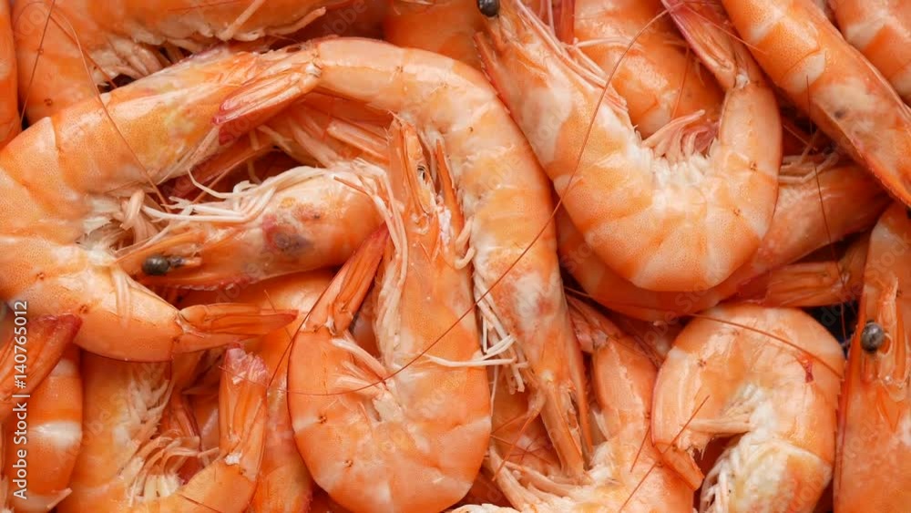 Many cooked whole prawns caught in Spain. Many cooked whole prawns caught in Spain.