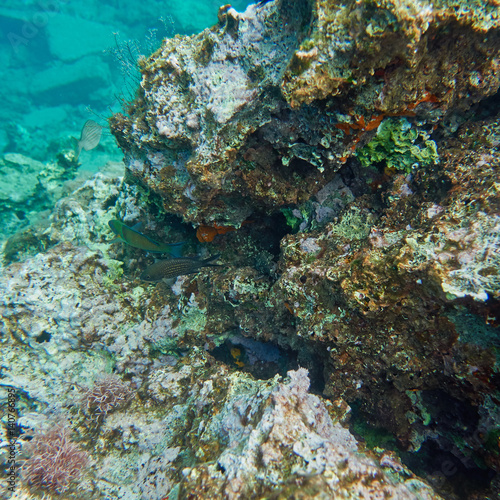 colorful reef and blue-green sea, underwater scene