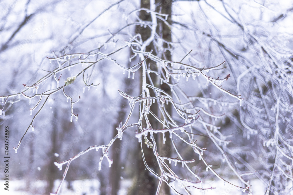 Winter Storm Stella Winter Storm Stella