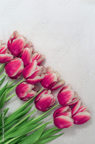 Fototapeta Naklejka Na Ścianę i Meble -  Vertical background with eleven lilac pulpits. Beautiful bouquet for congratulations and copy space for your text. Bunch of purple tulips. Romantic postcard.