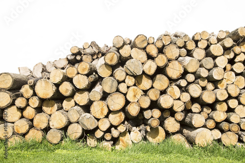 Firewood