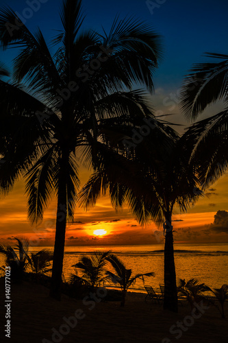 Beach palms sihouetted and sunset, Rarotonga, Cook Islands photo