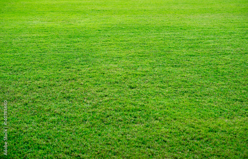 Fresh green grass texture, beautiful yard background. Fresh green grass texture, beautiful yard background.