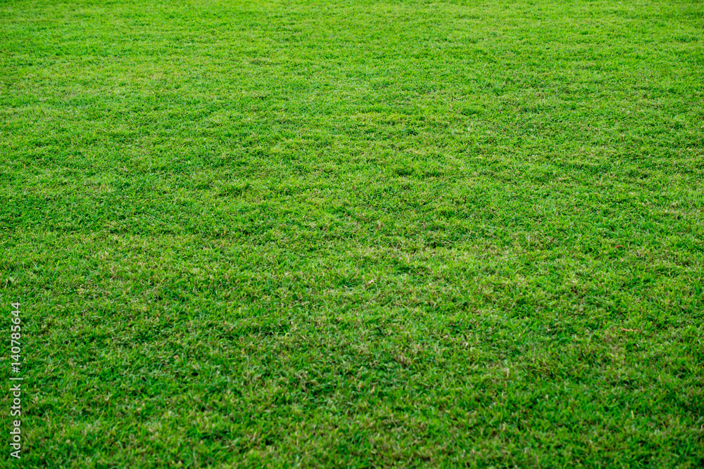 Fresh green grass texture, beautiful yard background. Fresh green grass texture, beautiful yard background.