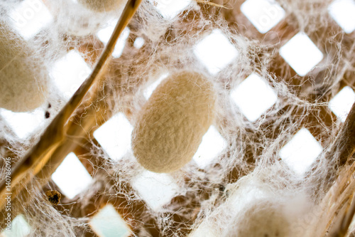 Photos Raw silk, the first material befor fabricate.