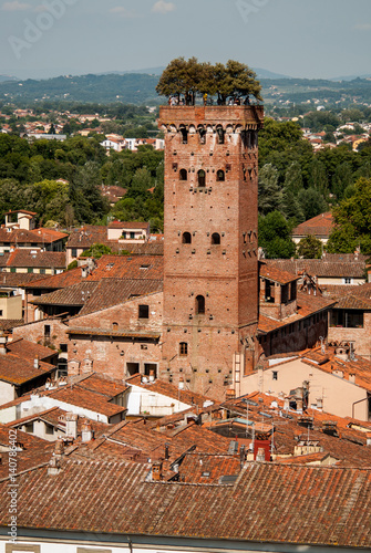 Torre Guinigi. Lucca. Italy