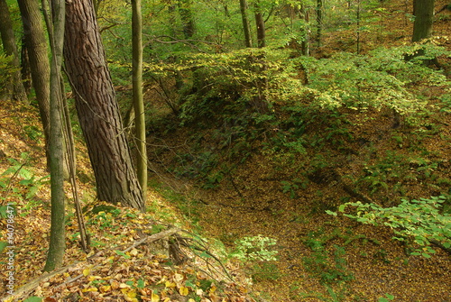 Wrzelowiecki Park Krajobrazowy.