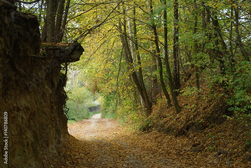 Kazimierski Park Krajobrazowy. photo