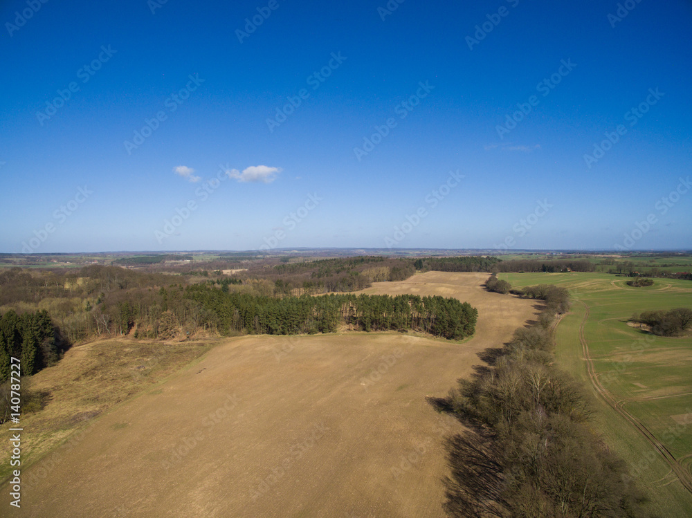 Aerial view of agricultural fields and forest