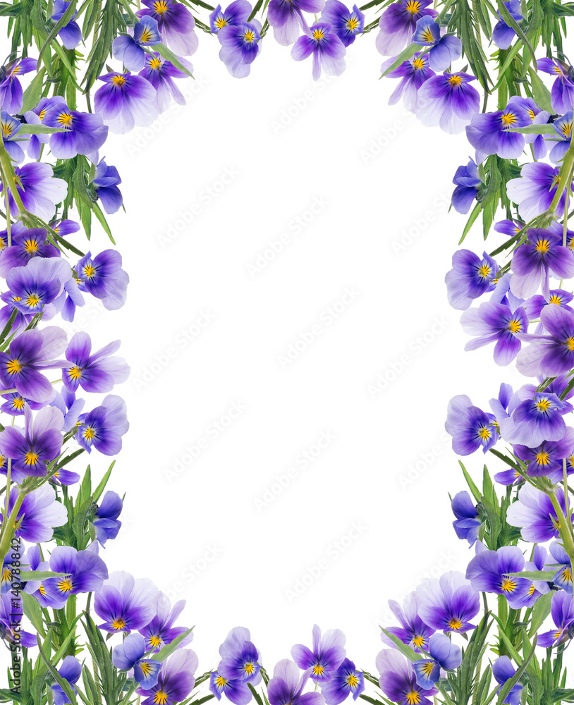 Fototapeta premium frame from lilac pansy flowers on white
