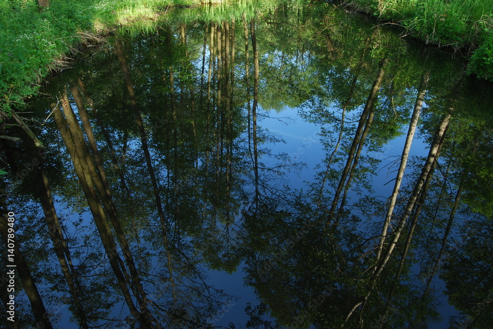 Chruslanki Jozefowskie, bagna. Chruslanki Jozefowskie, bagna.