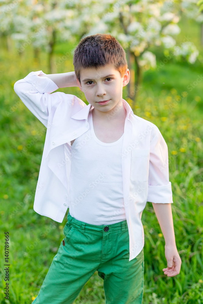 Beautiful little boy in a blooming garden in the spring. Beautiful little boy in a blooming garden in the spring.
