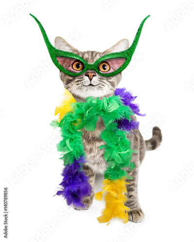 Funny Mardi Gras Party Cat