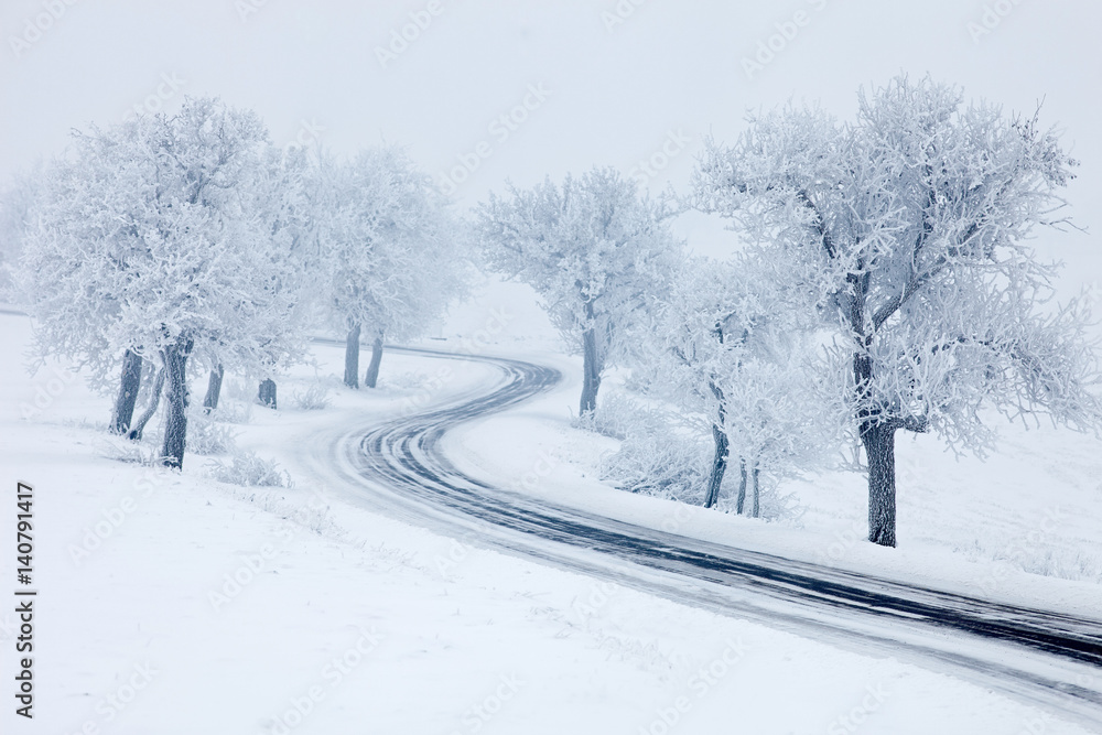 Obraz premium Snowy winter road, trees with snow and fog