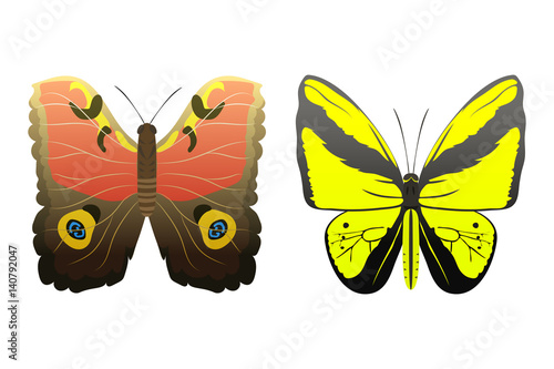 Colorful butterflies with abstract decorative pattern summer free fly present silhouette and beauty nature spring insect decoration. vector illustration.