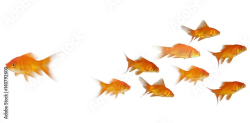 3D Side view of fish swimming