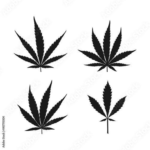Vector cannabis leaves set