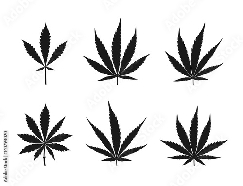 Vector cannabis leaves set