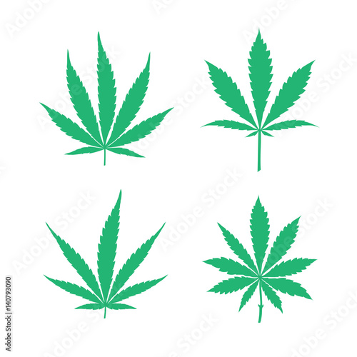 Vector cannabis leaves set
