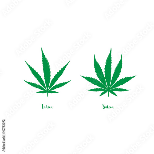 sativa and indica