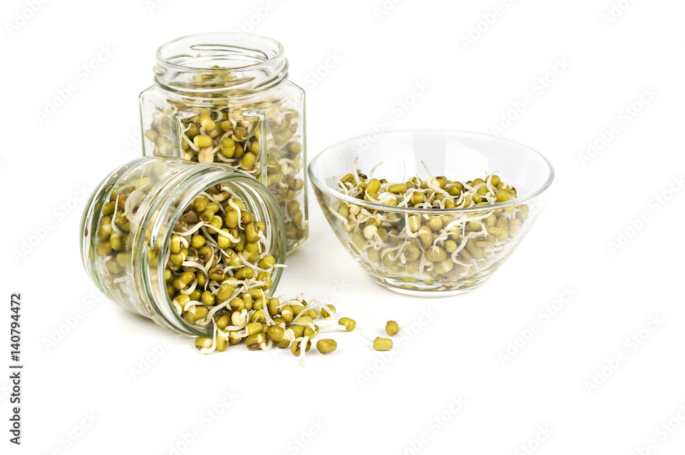 Sprouted mung beans in three jars