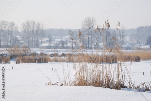 Terpentyna, zima. © M. G. Koperkiewicz