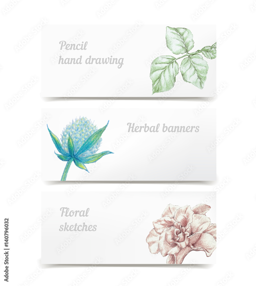 Vector herbal banners