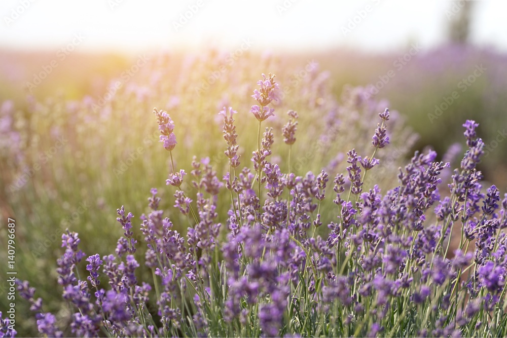 Obraz premium Background.