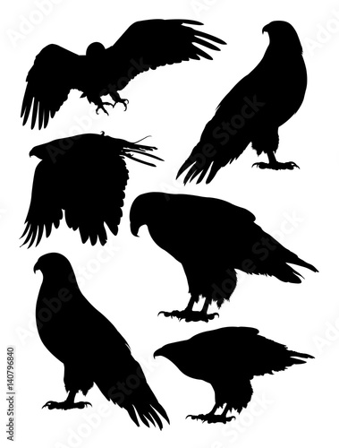 Eagles birds animal silhouette. Good use for symbol, logo, web icon, mascot, sign, or any design you want.