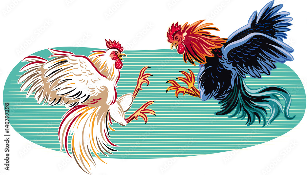 Two cocks facing each other in a fight.