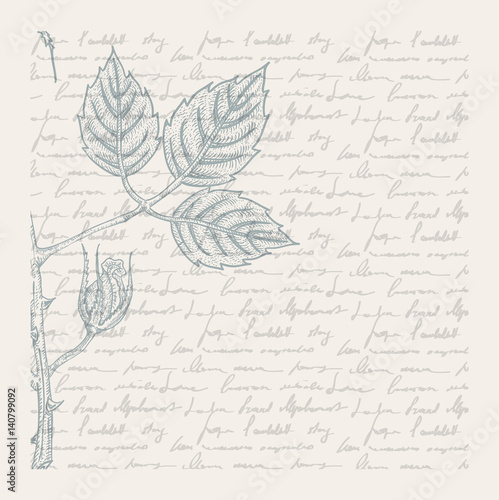 Vintage scrapbooking card with engraved rose and poems, retro vector scrapbooking page blue on gray