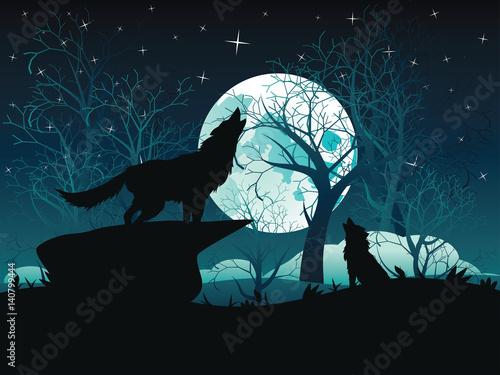 Wolf Howling in the Night Forest