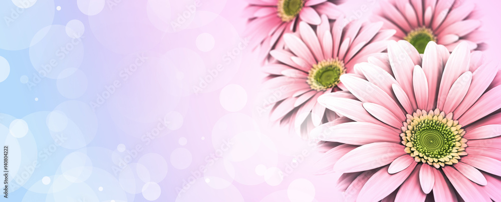 Gerbera Blumen auf Grußkarten Motiv - Karte für Ostern oder Muttertag
